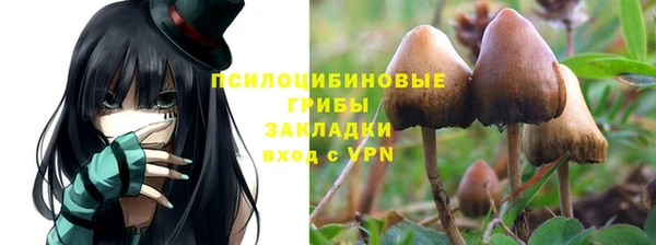 Альфа ПВП Заволжск